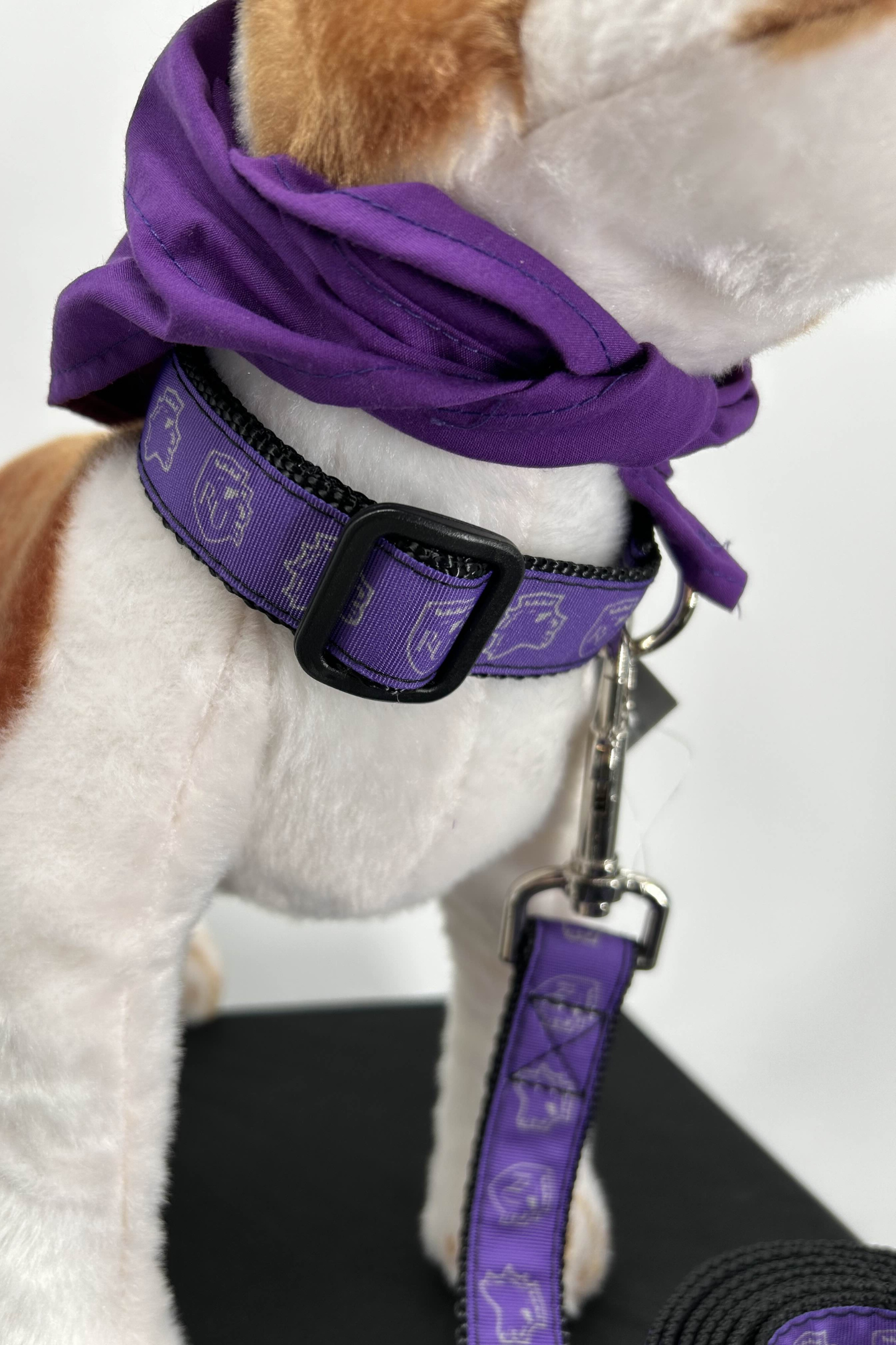 Dog Collar